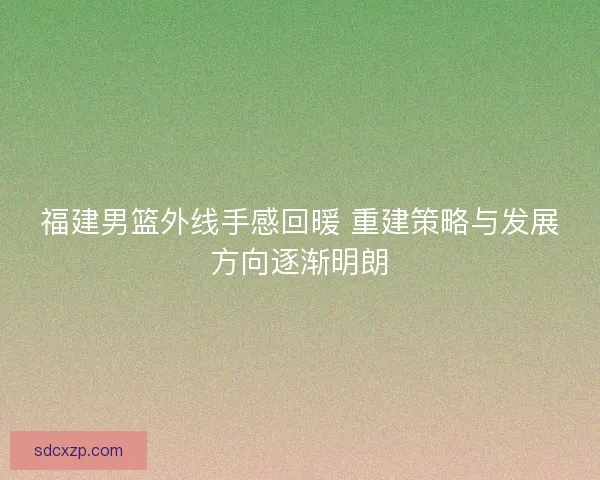 福建男篮外线手感回暖 重建策略与发展方向逐渐明朗